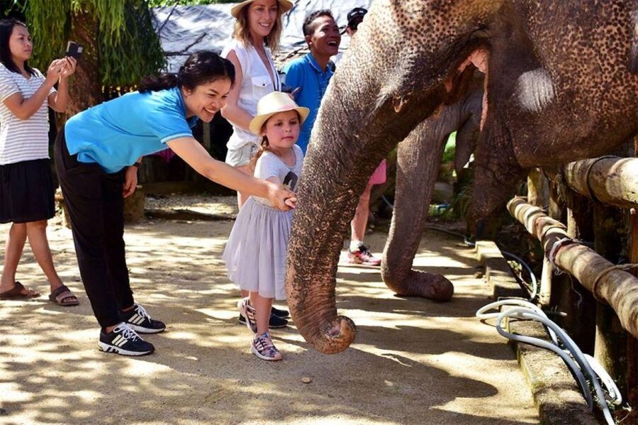 Ethical Elephant Sanctuary Experience in Khao Lak - The creek platform and the unscripted bath
