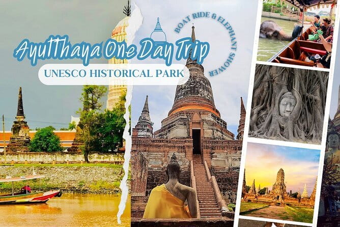 Ethical Elephant Watching Tour From Bangkok & Pattaya - Thai lunch, fresh fruit, and the value of the $115 price