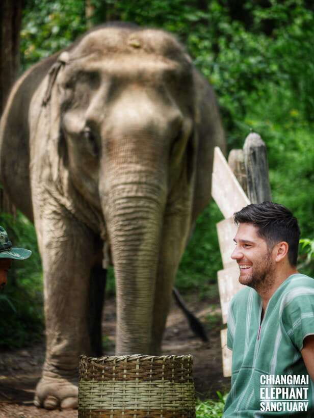Exclusive experience half day with family giant animals - Key points to know before you book