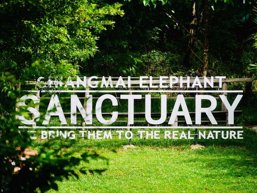 Exclusive experience half day with family giant animals - The elephant encounter begins in Chiang Mai’s hills