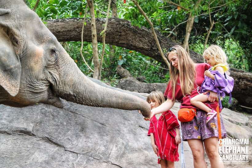Exclusive experience half day with family giant animals - Is $48 good value for this Chiang Mai outing?