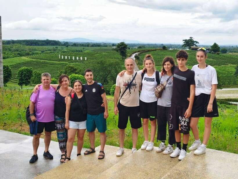 Explore the Chiang Rai and the Golden Triangle - Choui Fong Tea Plantation in the northern hills