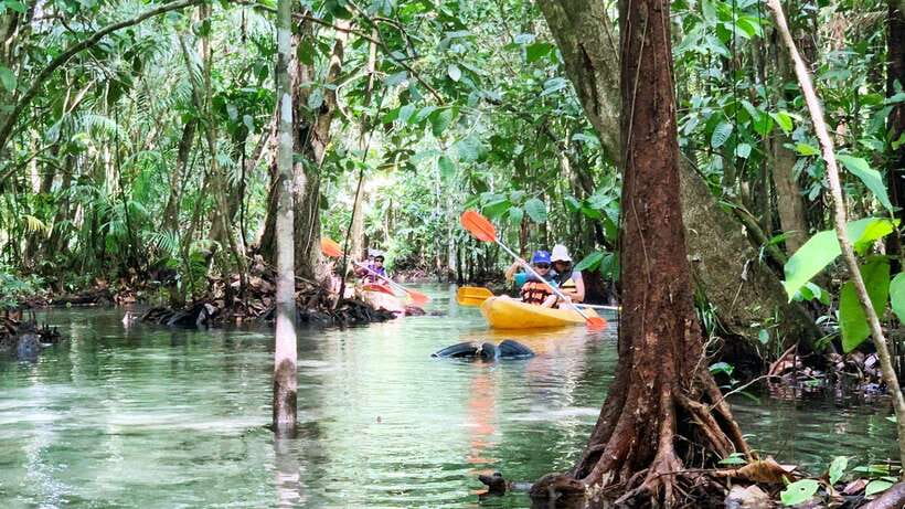 From Ao Nang: Kayaking at Klong Rud with Hotel Transfers - A low-key water trip from Ao Nang