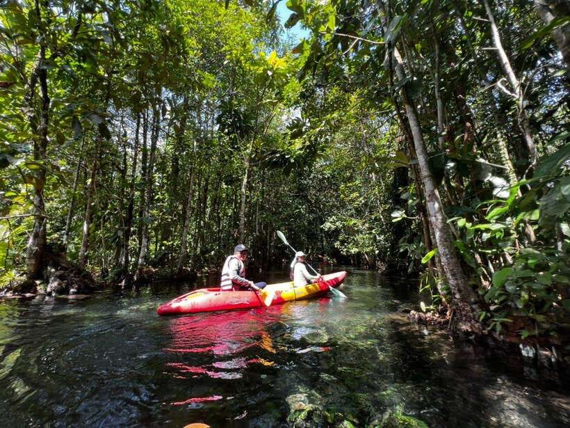 From Ao Nang: Kayaking at Klong Rud with Hotel Transfers - Paddling through forest and mangrove waterways