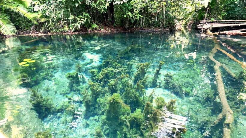 From Ao Nang: Kayaking at Klong Rud with Hotel Transfers - What the $28 price really covers
