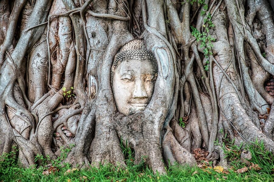 From Bangkok: Ayutthaya & Ayothaya Floating Market Day Trip - Meeting at Robinson Sukhumvit near BTS Asok