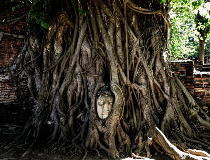 From Bangkok: Ayutthaya Heritage Tour with Sunset Boat Ride - Wat Maha That and the Buddha in the roots