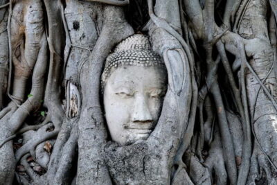 Ayutthaya Heritage Tour with Sunset Boat Ride