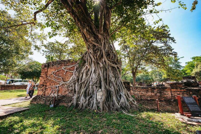 From Bangkok: Ayutthaya Temples Guided Tour with Lunch - Why Ayutthaya makes a worthwhile day from Bangkok