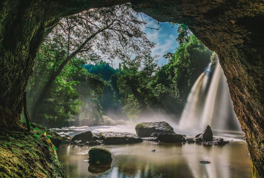From Bangkok: Khao Yai National Park Small-Group Day Trip - What to pack for the forest