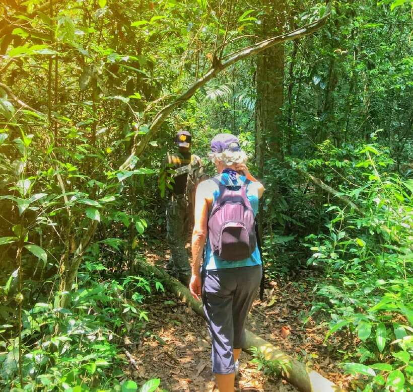 From Bangkok: Khao Yai National Park Small-Group Day Trip - Why Khao Yai makes a worthwhile escape from Bangkok