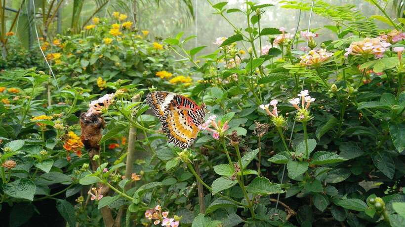 From Chiang Mai: Chiang Dao Cave & 5 Hill Tribe Villages - What the eight-hour schedule feels like