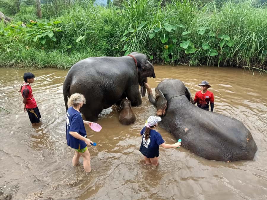 From Chiang Mai: Chiang Mai Elephant Care Morning Program - Changing into the uniform and learning the rules