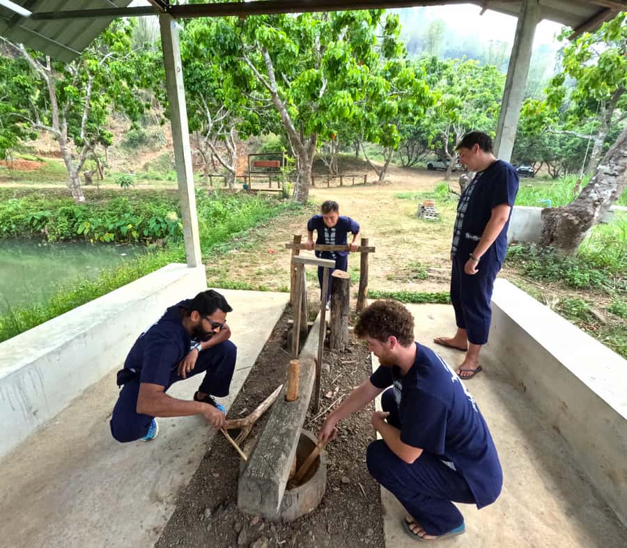 From Chiang Mai: Chiang Mai Elephant Care Morning Program - Feeding elephants and making herbal medicine balls