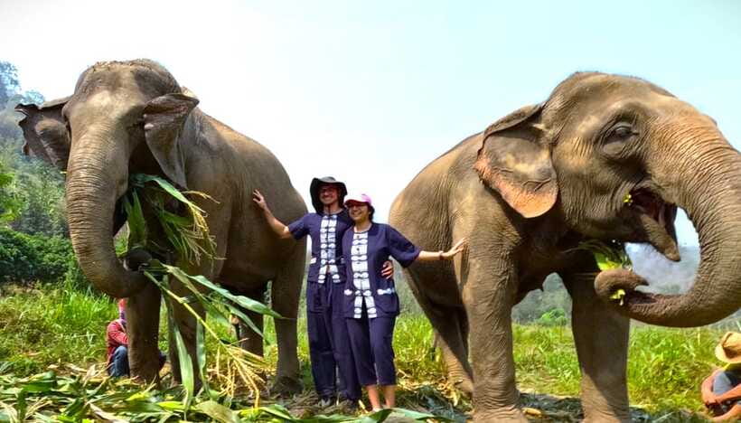 From Chiang Mai: Chiang Mai Elephant Care Morning Program - What the $54 price includes