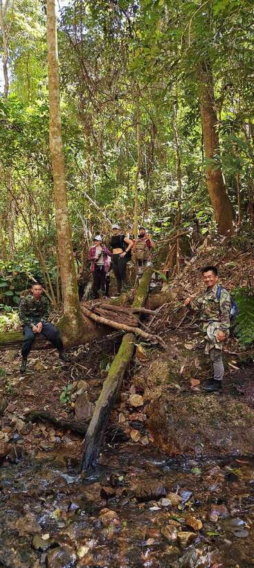 From Chiang Mai: Doi Saket Hiking Tour with Lunch - What the $57 price really covers