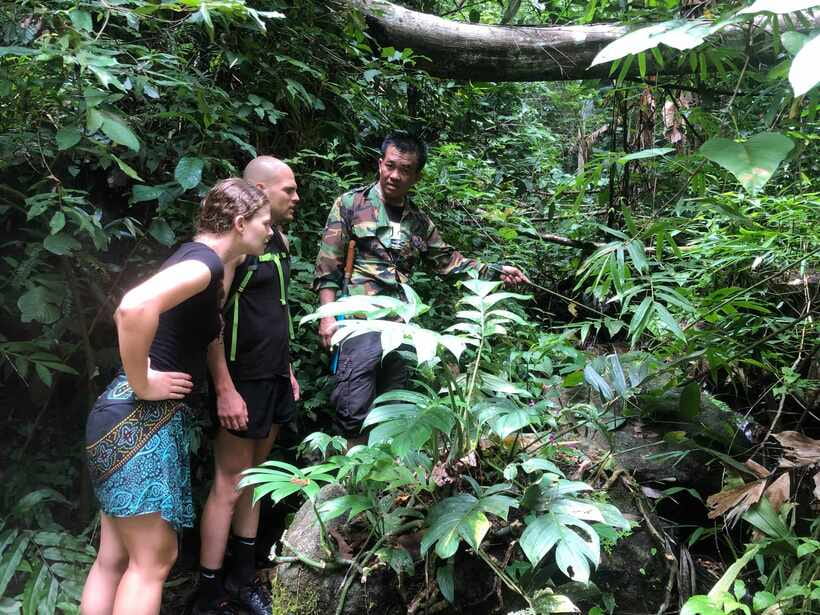 From Chiang Mai: Doi Saket Hiking Tour with Lunch - Starting in the mountain village