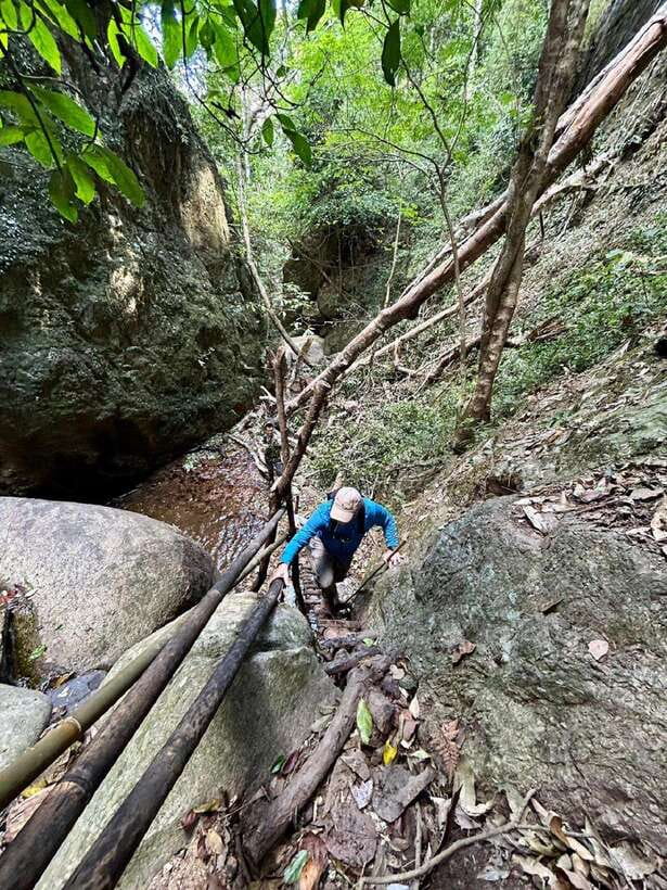From Chiang Mai: Doi Saket Hiking Tour with Lunch - The return route across bamboo and fallen-tree bridges