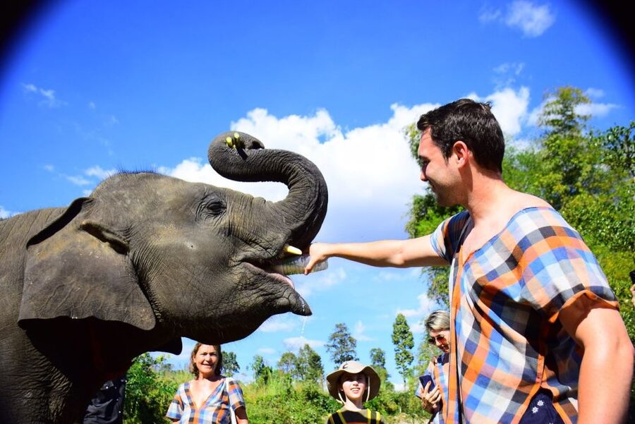 From Chiang Mai: Elephant Care Program and Nursery Tour - Key points to know before you book
