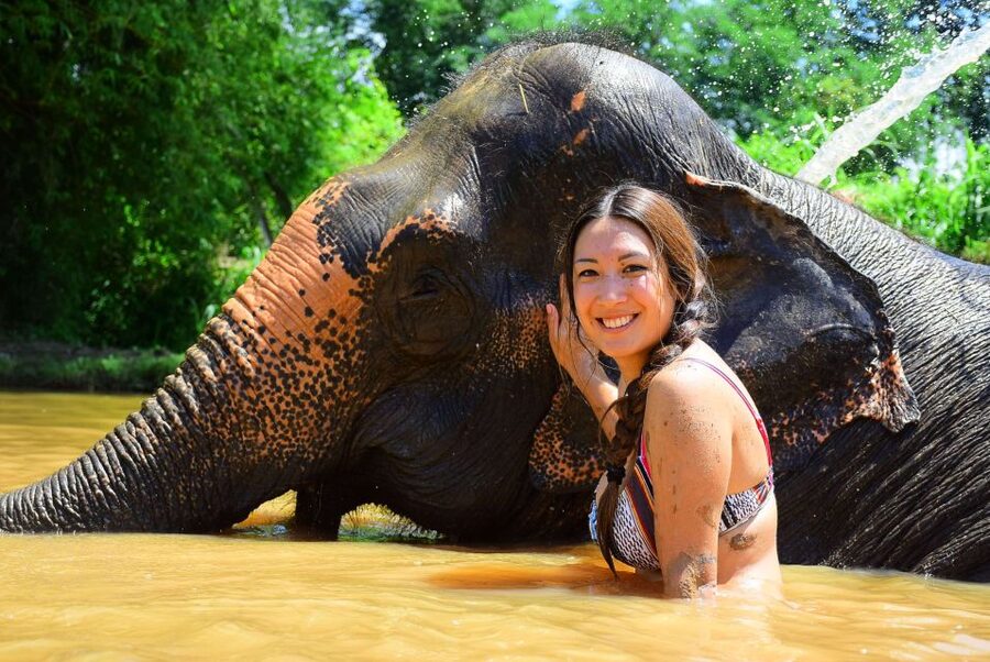 From Chiang Mai: Elephant Care Program and Nursery Tour - Washing elephants and getting thoroughly splashed
