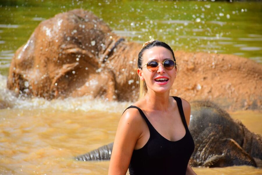 From Chiang Mai: Elephant Care Program and Nursery Tour - What ethical care looks like here