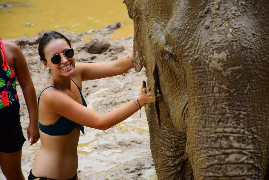 From Chiang Mai: Elephant Care Program and Nursery Tour - Is five to six hours enough?