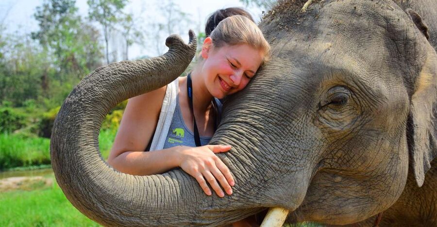 From Chiang Mai: Elephant Care Program and Nursery Tour - Changing clothes and meeting the care team