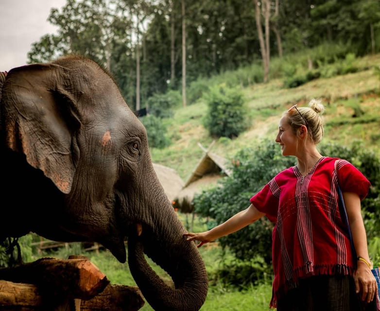 From Chiang Mai: Kerchor Eco Elephant Park Tour - Arriving at Kerchor Eco Elephant Park