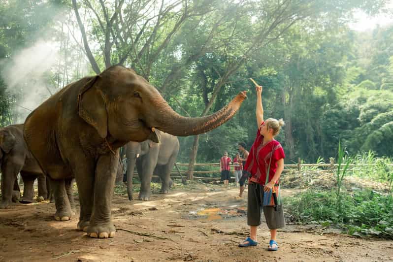 From Chiang Mai: Kerchor Eco Elephant Park Tour - The 90-minute ride from Chiang Mai