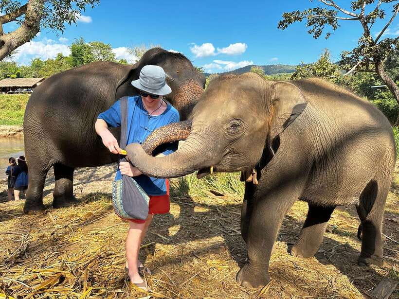 From Chiang Mai: Living Green Elephant Sanctuary Tour - The 1.5-hour drive from Chiang Mai