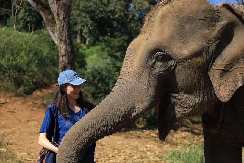 From Chiang Mai: Living Green Elephant Sanctuary Tour - Forest walks and natural river bathing