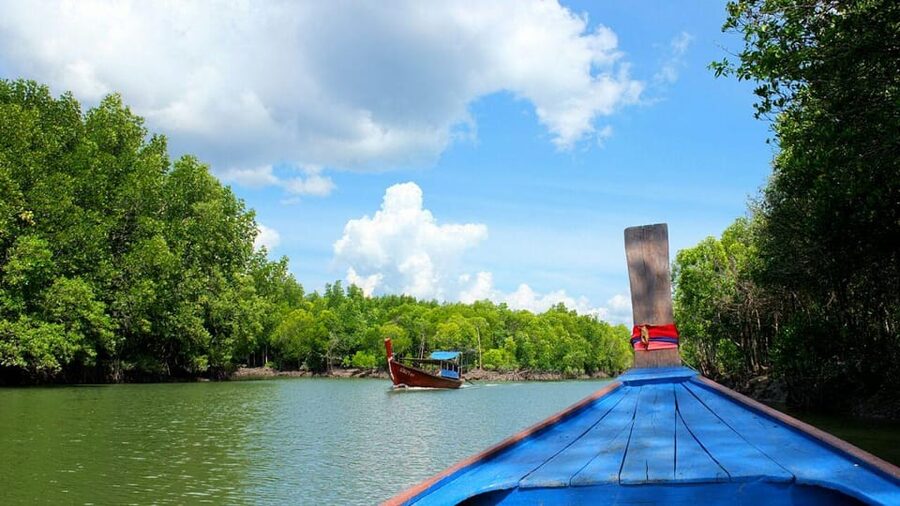 From Ko Lanta: Mangrove Eco-Excursion by Longtail Boat - Key points to know before you book