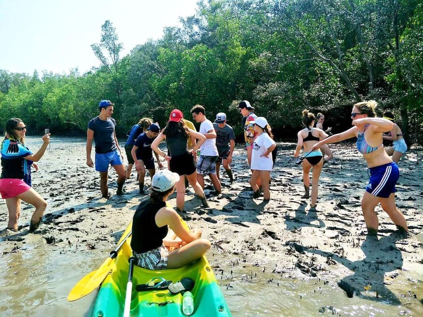 From Ko Lanta: Mangrove Eco-Excursion by Longtail Boat - Lunch beside the mangroves