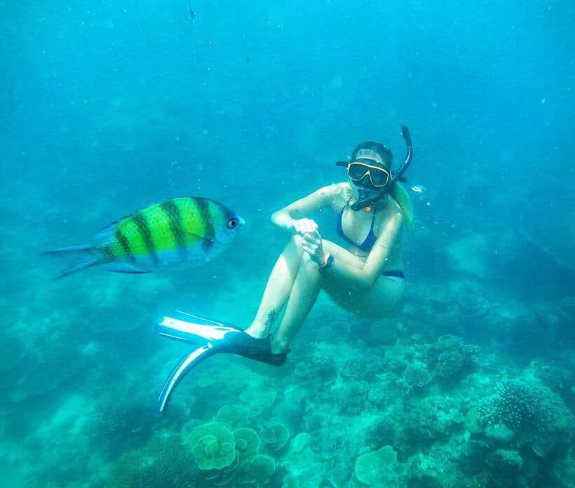 From Koh Lanta: Koh Haa & Koh Rok Snorkel Tour by Speedboat - Koh Rok Noi: the best underwater stop