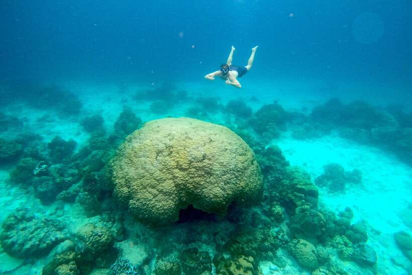 From Koh Lanta: Koh Haa & Koh Rok Snorkel Tour by Speedboat - What the $54 price includes