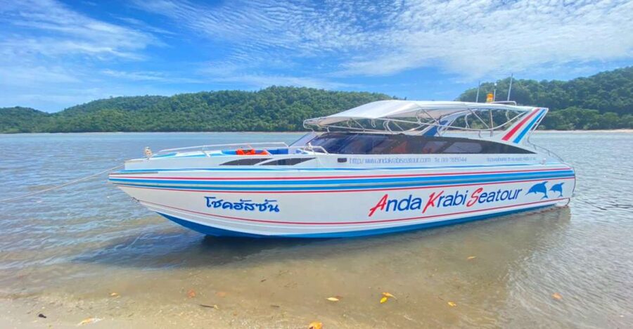 From Krabi: Phi Phi Island Full-Day Private Speed Boat Tour - Key points to know before booking