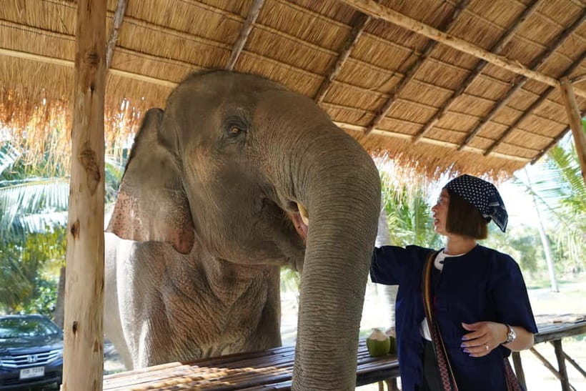 From Pattaya: Living Green Elephant Sanctuary Day Trip - Changing clothes and getting your bearings