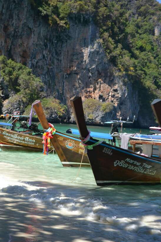 From Phi Phi: Full Day 7 Island Tour by Longtail with Sunset - Shark Point: one of the best reasons to pack a mask