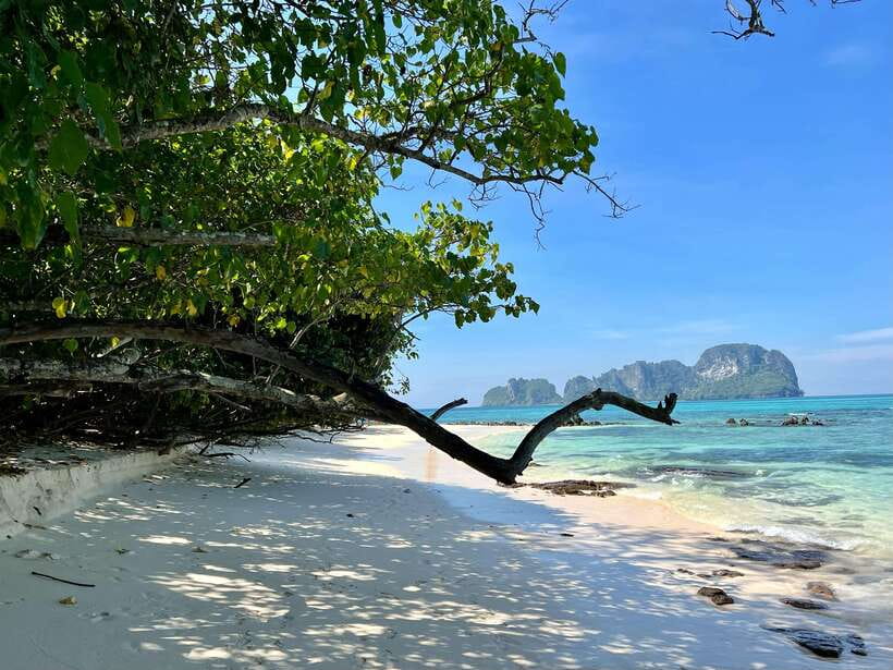 From Phi Phi: Full Day by Longtail Boat with Sunset - Shark Point is exciting, but marine sightings cannot be promised