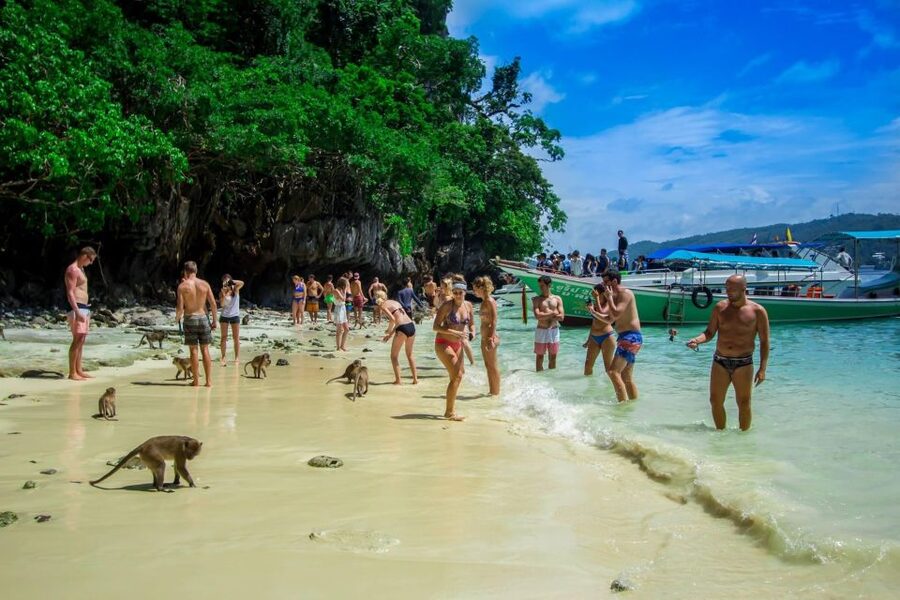 From Phi Phi: Half-Day Longtail Boat Tour with Snorkeling - Monkey Beach and the reality of wild macaques