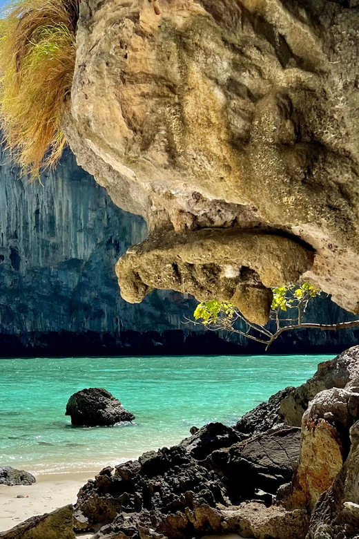 From Phi Phi : Splash & Explore – Half-Day Tour By longtail - Monkey Beach and the first taste of Phi Phi