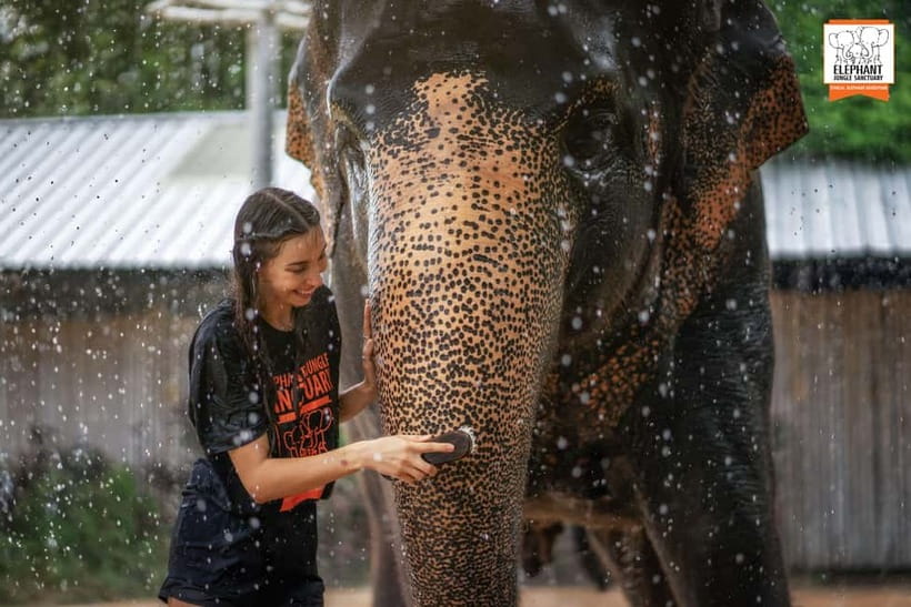 From Phuket: Elephant Jungle Sanctuary Feed and Shower Trip - Should you book the Elephant Feed and Shower Trip?