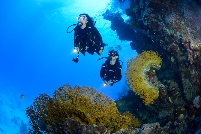 Full-Day Beginner Scuba Course with Private Tuition, Racha Yai - Why Racha Yai works for a first scuba experience