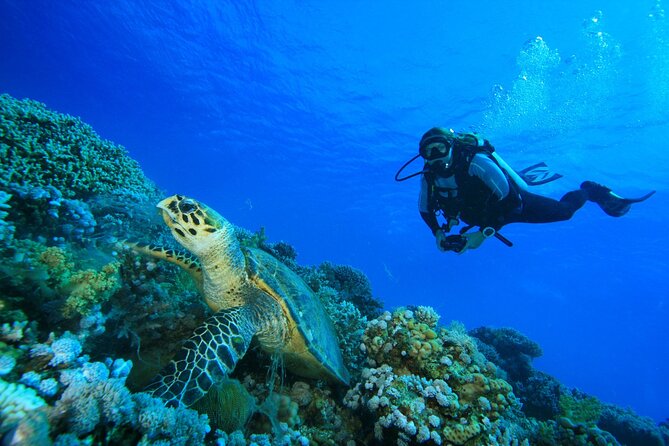 Full-Day Beginner Scuba Course with Private Tuition, Racha Yai - Learning the equipment before entering the sea