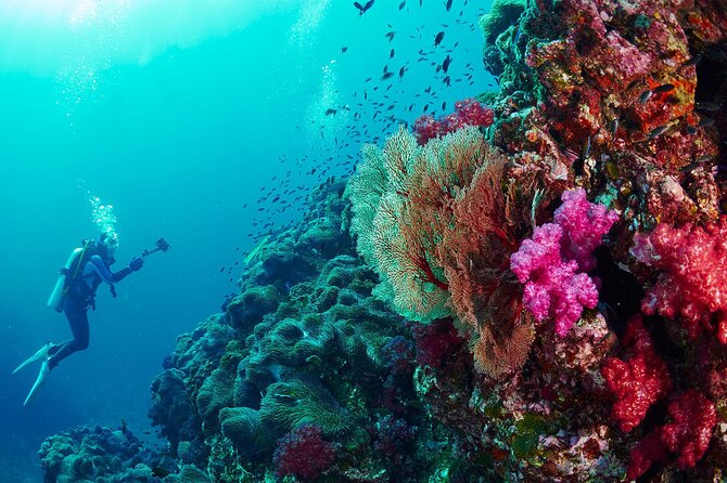 Full-Day Beginner Scuba Course with Private Tuition, Racha Yai - Food, equipment, insurance, and photos