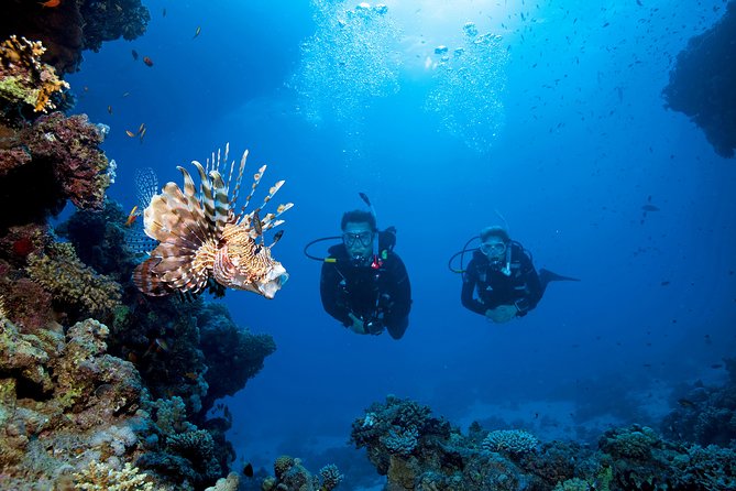 Full-Day Beginner Scuba Course with Private Tuition, Racha Yai - Timing your Phuket holiday around the course