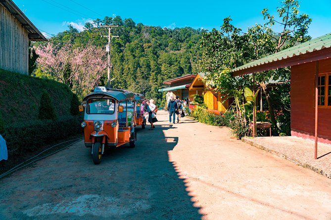 Full-Day Guided Tuk Tuk Chiang Mai Adventure and Rafting - Thai lunch in the middle of a busy day