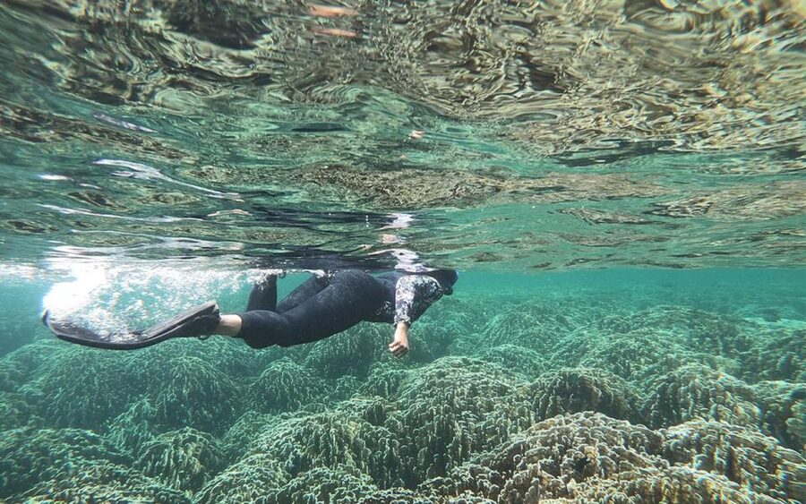 Full-Day Koh Lipe 7 points Snorkeling Experience with Lunch - Lunch at Ao Ling, sometimes shown as Monkey Beach