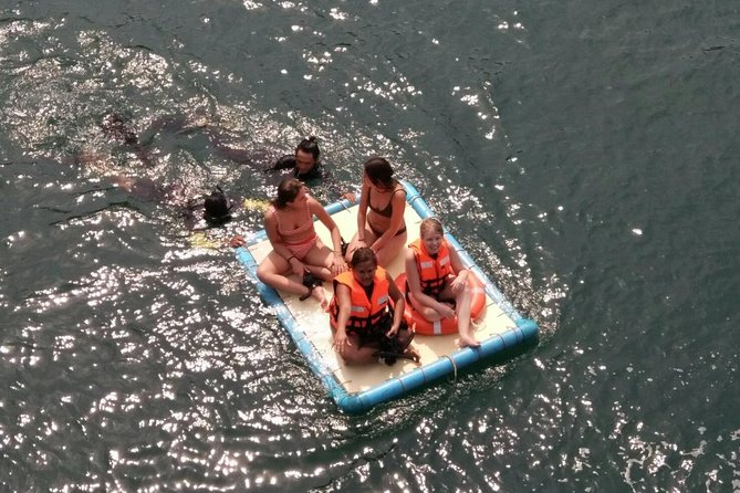 Full day snorkeling adventure around Koh Tao - Shark Bay is about patient wildlife spotting