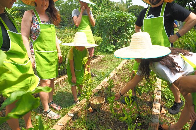Full Day Thai Cooking at Farm (Chiang Mai) - Choosing your menu at Smile Organic Farm